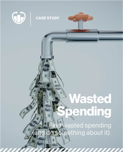 Find Wasted Spending (And Do Something About It) Case Study